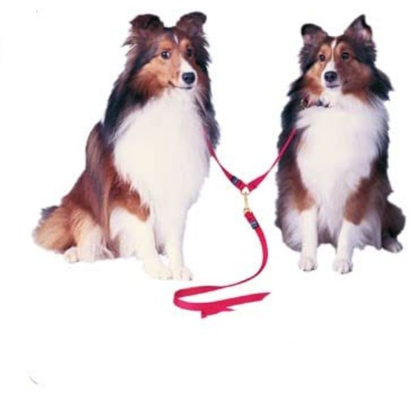 Adjustable Double Dog Leads - Medium - Step 1 Blue - Walk Two Dogs at Once