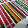 IRELAND IRISH FLAG 3D EPOXY CAR EMBLEM SET (2) FLEXIBLE DURABLE WATERPROOF