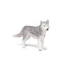 PAPO Siberian Husky