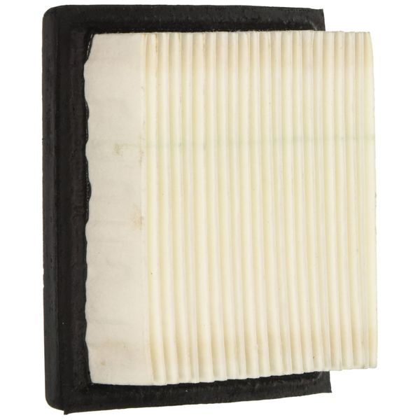 Tecumseh 36046 Air Filter