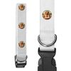 Large 'Cocker Spaniel Love Note' Dog Collar (PR00063848)