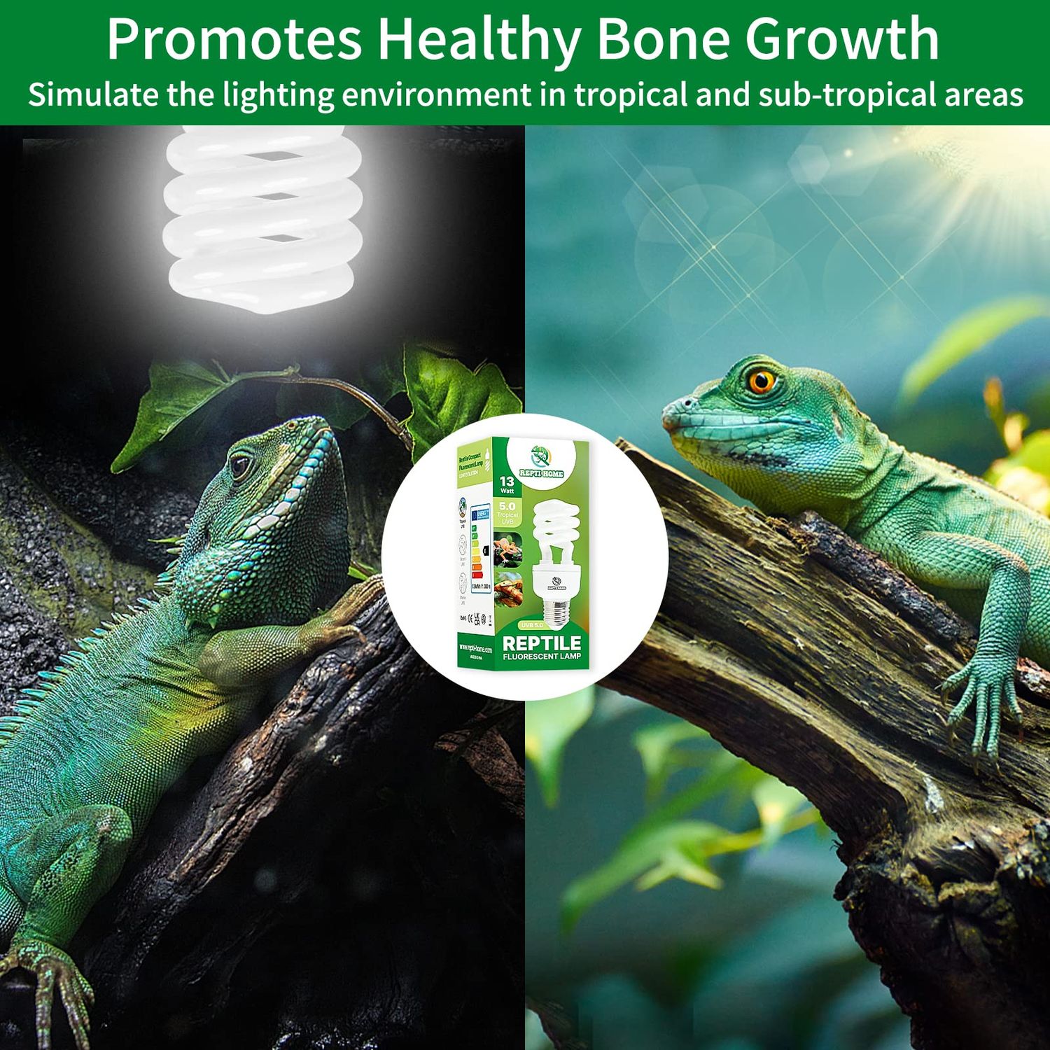 REPTI HOME UVB Reptile Light 5.0, 13W Tropical and Sub-Tropical UVA UVB Bulb for Reptiles, Tropical Terrarium Compact Fluorescent Lamp, Reptile UVB Light Bulb for Chameleons, Iguanas and Turtles