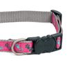 Petface Paws Print Dog Collar, Medium, Cerise/Grey