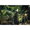 Der Hobbit: Die Spielfilm Trilogie Extended Edition [Blu-ray]