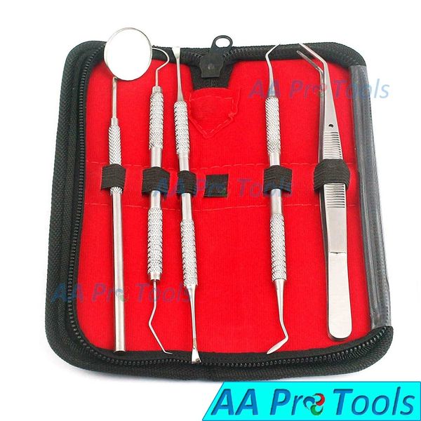 Dental Oral Hygiene Kit 5 Tools Deep Cleaning Scaler Teeth Pr-331