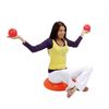 Gymnic Heavymed 1 Medicine Ball