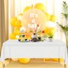 ELECLAND White Plastic Table Cover 137 x 274 cm White Plastic Tablecloth Rectangle White Table Cover for Indoor or Outdoor Wedding, Birthday Party Decorations