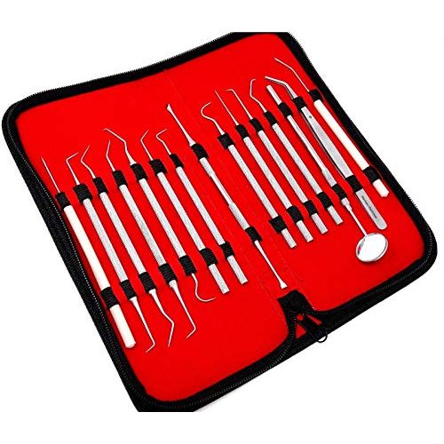 Pack of 15 Stainless Steel Precision Micro Scaler Scrapper Pick Set Combo, 5.5 inch to 6 inch Overall Length, Stainless Steel