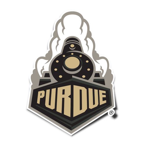 Desert Cactus Purdue University Sticker Boilermakers Vinyl Decal Laptop Water Bottle Car Scrapbook (IND 6)