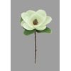 Magnolia stem CREAM