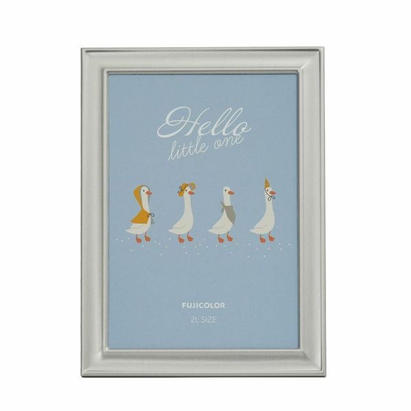 FUJICOLOR 507267 3601K Silver Cabinet Metal Frame