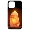 iPhone 15 Plus Cool Himalayan Salt Lamp Smartphone Case