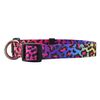 Native Pup Reflective Dog Collars (Small, Leopard)