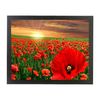 Sunset Poppies Soft Cushion Lap Tray Gift