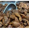 Sugar-free cinnamon candied pecans