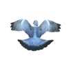 Flying Pigeon Deceiver Decoy Floater Realistic Pattern (2)