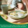 KALAS Color Plate - Mixed Color 203.786.71