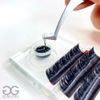Disposable Glue Cup for Eyelash Extensions Application - 50 per Quantity