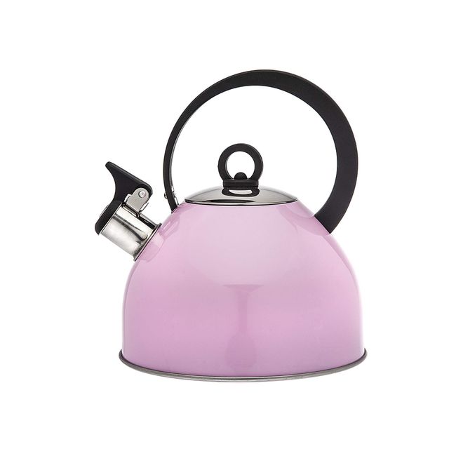 Whistling Tea Kettle Stainless Steel Teapot for Stovetop 2.5L