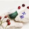 Liz Earle Superskin Eye Cream 15ml