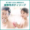 Naive Body Soap (Formulated with Aloe Extract), Jumbo 17.9 fl oz (530 ml)