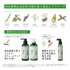 rinRen Remedial Treatment, Mint & Lemon Refill, 10.1 fl oz (300 ml), Quasi-Drug, 10.1 fl oz (300 ml) x 1