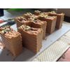 Anti-Inflammatory Purple Dead Nettle & Turmeric Beef Tallow Soap