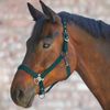 WALDHAUSEN Headcollar Gloomy, WB, green