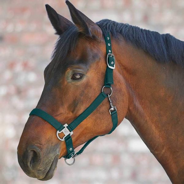 WALDHAUSEN Headcollar Gloomy, WB, green