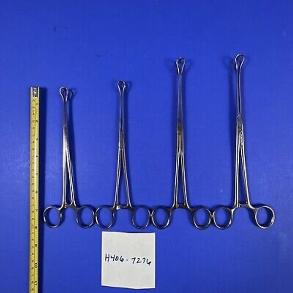 Sklar 36-1677 Babcock Tissue Forceps 8" and 3 other Sklar Babcock Forceps