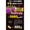 Hepa Plus 20 Tablets Supplement for Drinking Professionals