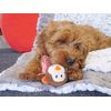 Rosewood LITTLE NIPPERS CHEEKY CHIMP,Brown,Small