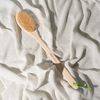 ECO Body Back Bath Brush - Shower Brush with Long Handle, Back Washer Scrubber