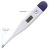Basal Thermometer For Ovulation With Recording Charts