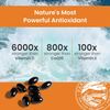 Hawaiian Astaxanthin 60 Count Super Antioxidant Supplement for Immune Support
