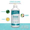 Buried Treasure Stress B Gone 16 fl oz