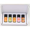 Aromatherapy Zodiac Aries Collection 5 10ml Bottles