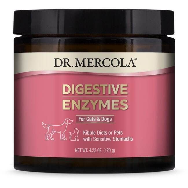 Dr. Mercola Bark & Whiskers Digestive Enzymes for Cats and Dogs 4.23 oz Pwdr