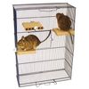 Degu Shelf - Three Pack