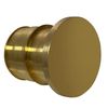 XFITTING Pex A 1 Inch Plug End Cap, 29-1-5=2XX, 2 Pieces