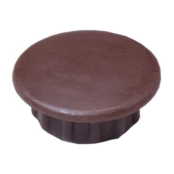 dandoribisu Hole Cap (10 mm) Dark Brown A10 – 9 Abox