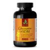 MSM - GLUCOSAMINE CHONDROITIN & MSM - Improved Wound Healing 1B