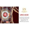 uric acid level - URIC ACID FORMULA ADVANCED COMPLEX - celery seed organic pills