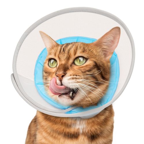 Cat Cone Collar Soft: Comfortable Waterproof Mesh Recovery Cone After Surgery to Stop Licking and Scratch, Alternative to Plastic Elizabeth Head/Neck Cone