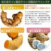 屋久島ウコン極（300粒）6袋セット
