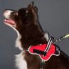 Petio EthicalDoor Dog Leasywear Harness Medium Red