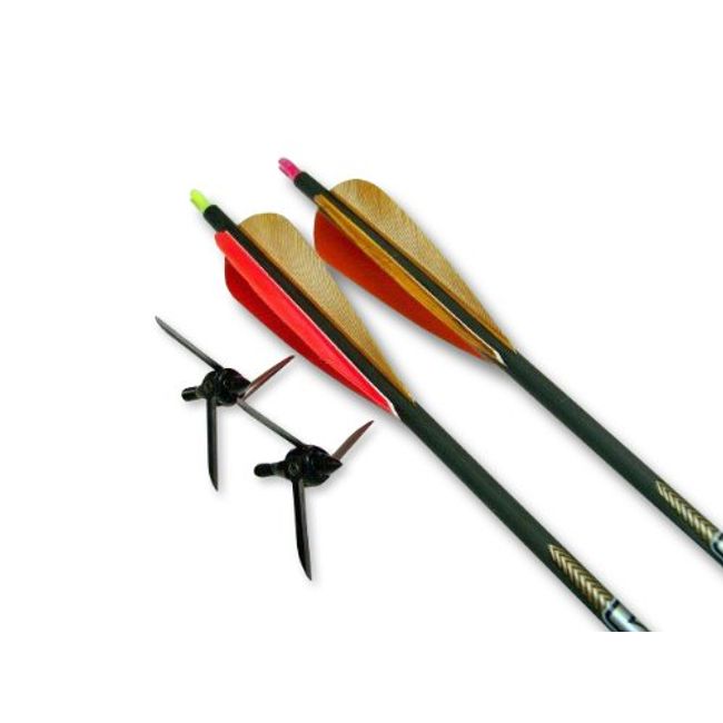 Bullhead Victory Arrows Kit, 100-Grain