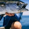 Nomad Design Ridgeback 80 LC 80g - 3oz, Pink Sardine