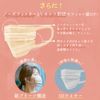 Iris Ohyama PK-BFC7MUD JIS Certified Masks, Non-woven Fabric, Pleated Mask, Regular Size, Bi-Color, Two-Tone Masks, Individually Packaged, Color Masks, Beauty Fit Masks, Autumn Masks, Cheek Masks, Skin-Tone Mask, Pack of 7, Pistachio x Gray