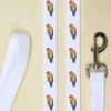 'Colourful Budgie' Dog Lead/Leash (DL00020658)